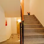 Otel Mod 4*